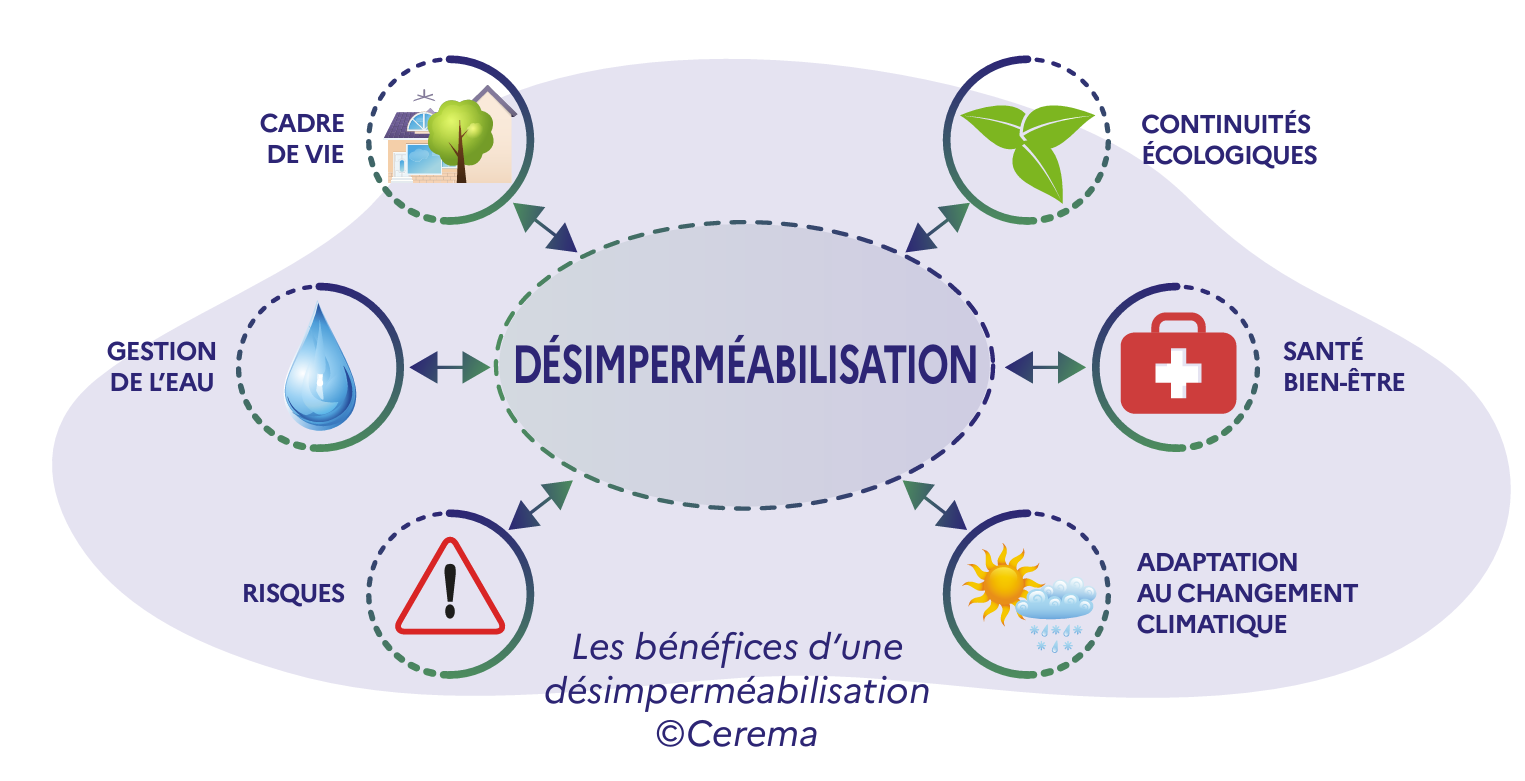 Bienfaits